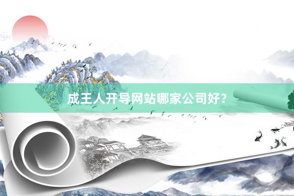 成王人开导网站哪家公司好？